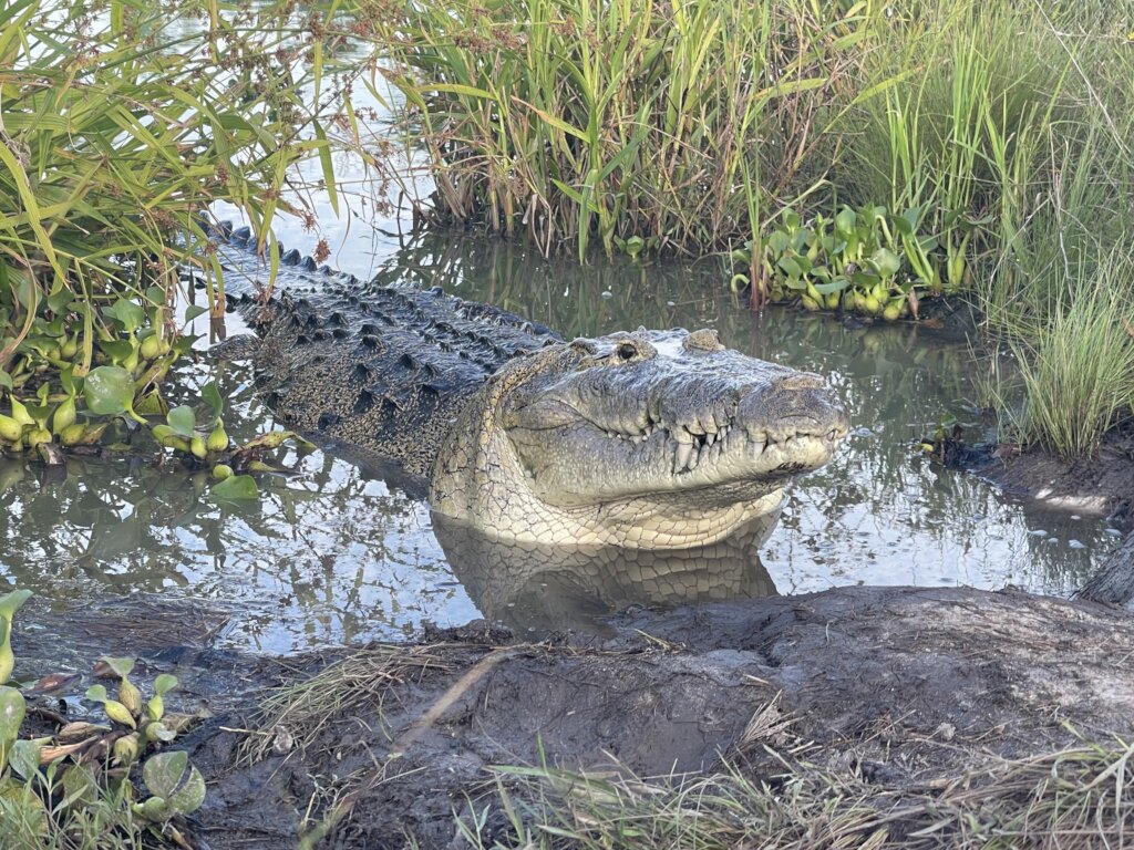 Revive cultural connection to nature in Belize