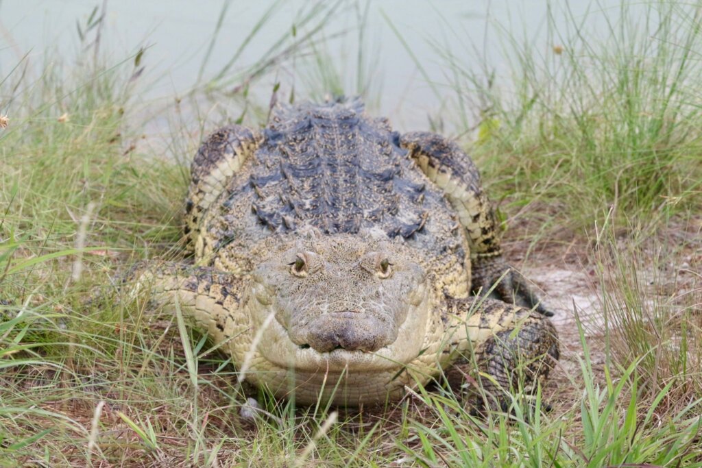 Revive cultural connection to nature in Belize