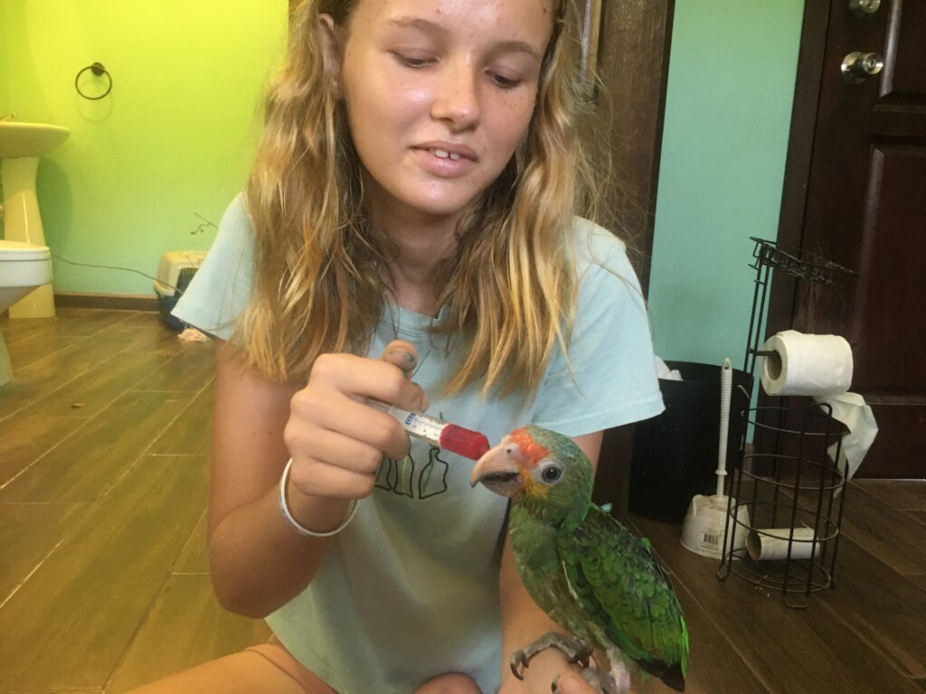 Revive cultural connection to nature in Belize