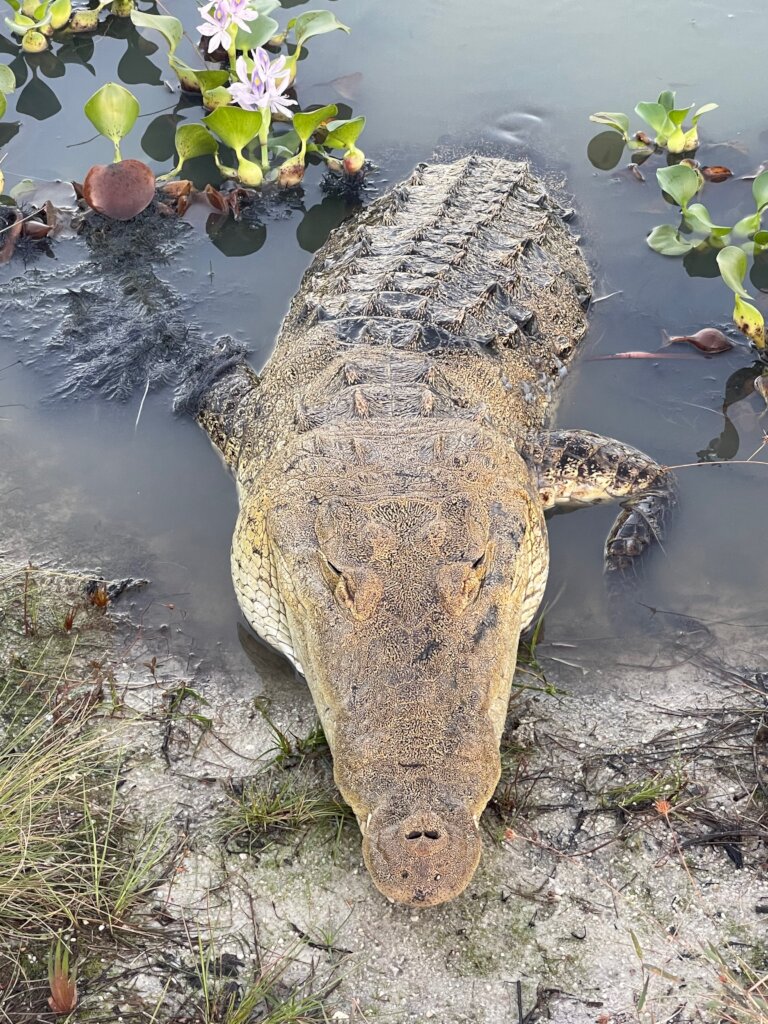 Revive cultural connection to nature in Belize