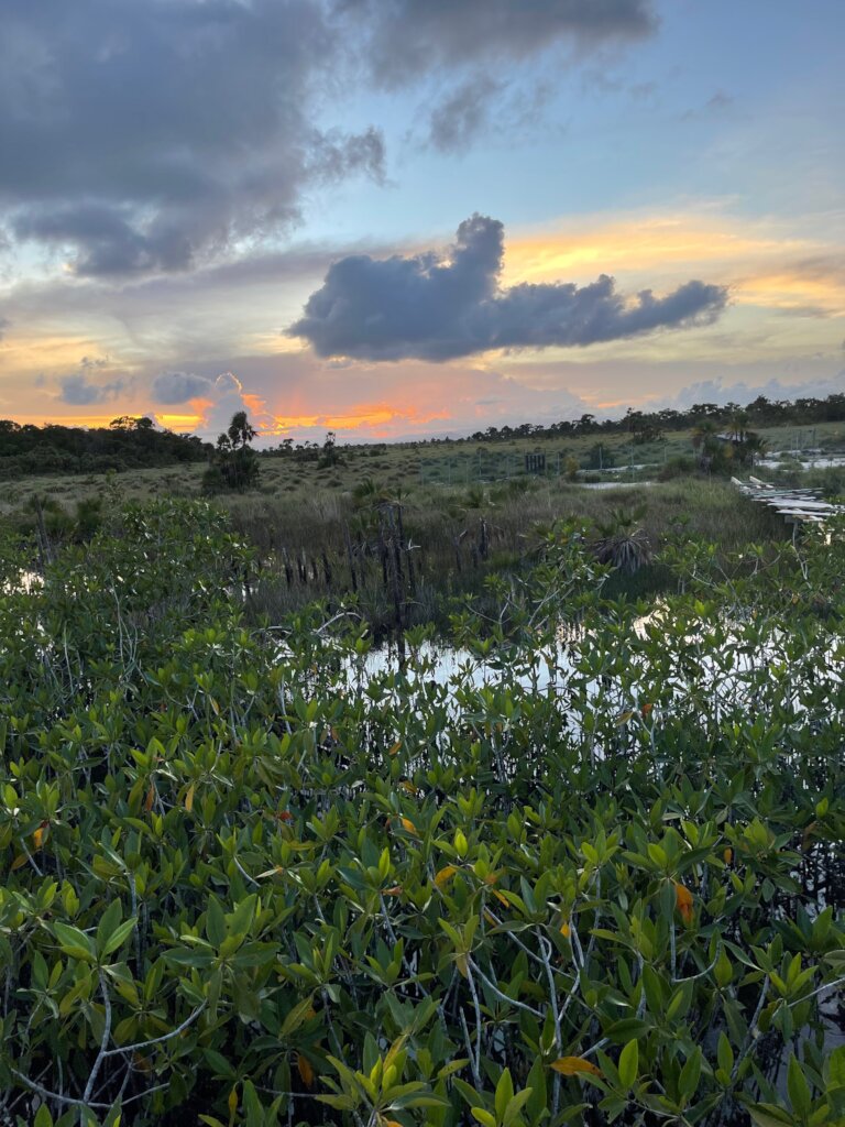 Revive cultural connection to nature in Belize