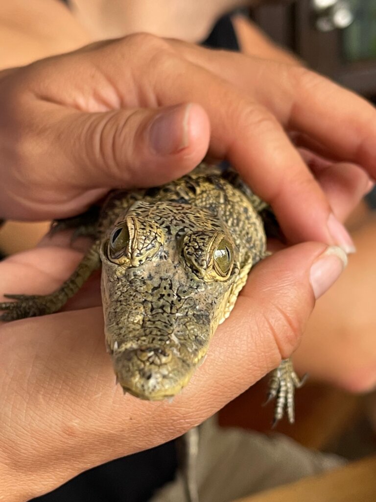 Revive cultural connection to nature in Belize