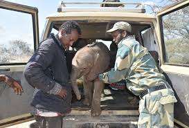 MHO staff on the filed