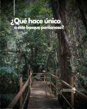 One of our late 2025 Interactive Story Posts