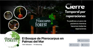 The Forest's Facebook Cover Photo - January 2026