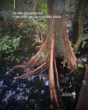 The Functions of Pterocarpus Forests