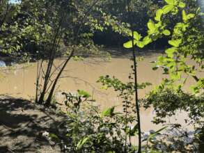 Resolving pond Sedimentation problem is priority