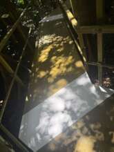 Damaged sections of walkway have been replaced