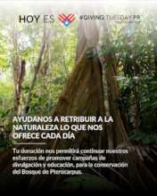 One of our GivingTuesday 2025 Appeal Publications