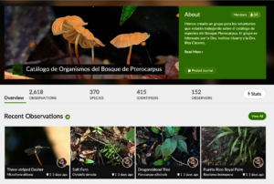 Catalogue of Forest Organisms on iNaturalist