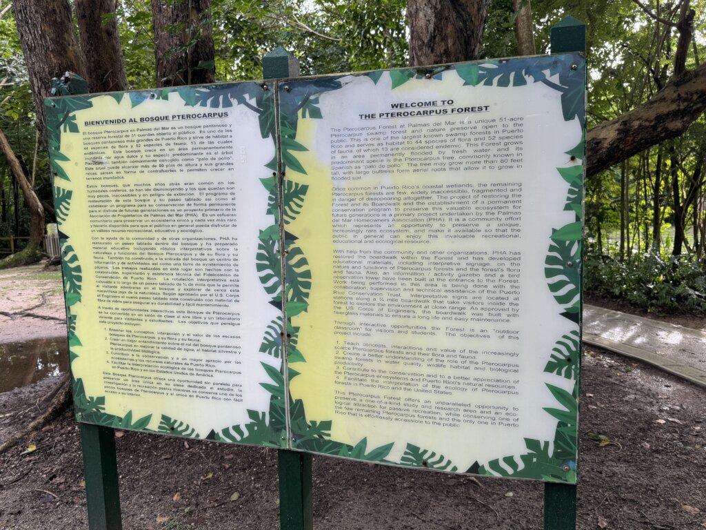 Conserve, Educate, Sustain: Support the Forest