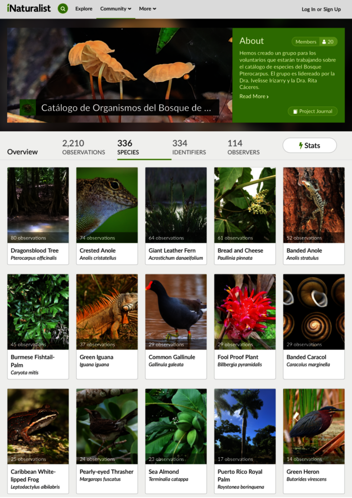iNaturalist Catalogue of Forest Organisms