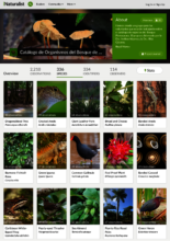 iNaturalist Catalogue of Forest Organisms
