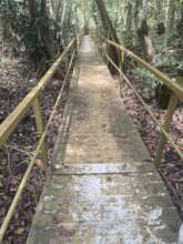 Infrastructure Maintenance and Repair Initiatives