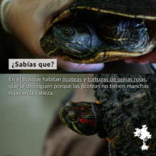 Did you know.....?  Social Media Outreach