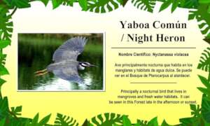 Interpretative Signage along the Forest Pond