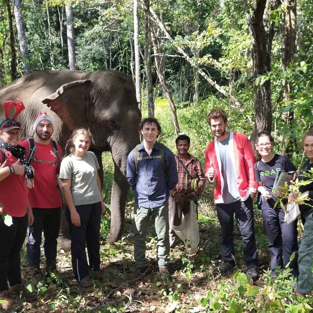 EVP Xmas Raffle & End of Year Fundraising