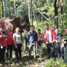 Xmas with Elephants!