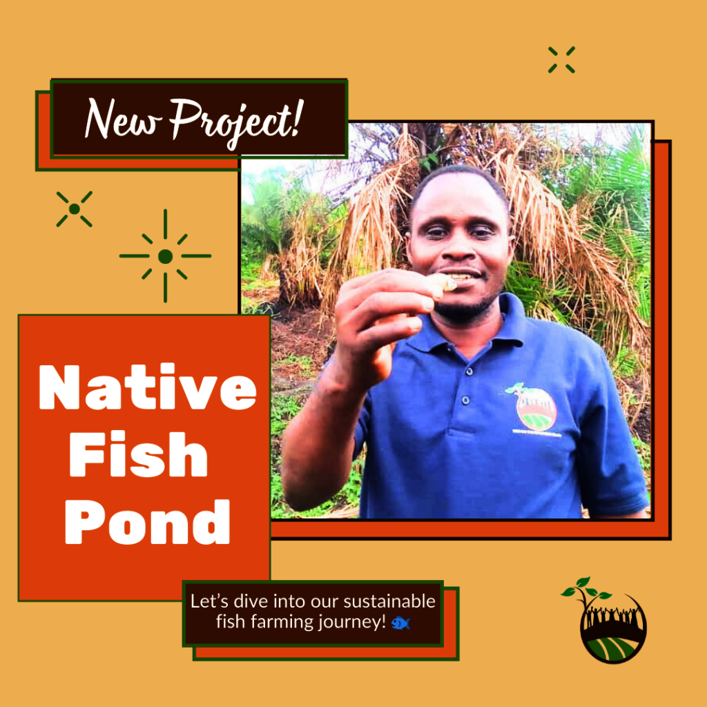 Feed a community! Help raise 600 fish sustainably