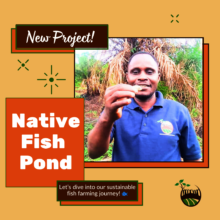 Feed a community! Help raise 600 fish sustainably