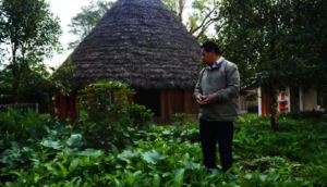 native food crops Sibundoy