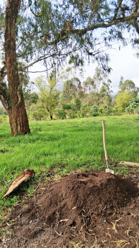 natural fertilizer making