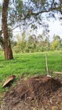 natural fertilizer making