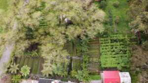 Jardin Botanico
