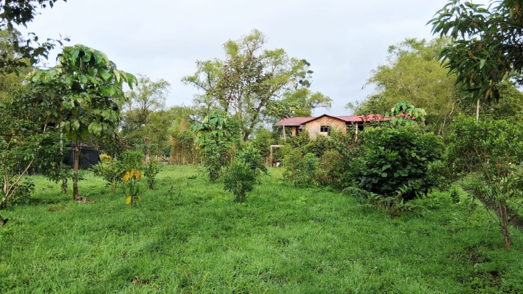 Reforestation OIOC