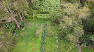 Reforestation sites