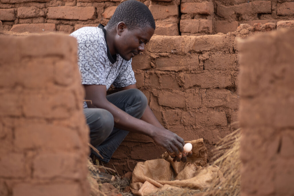 Build the 1st self-sustaining Farmer Field School!