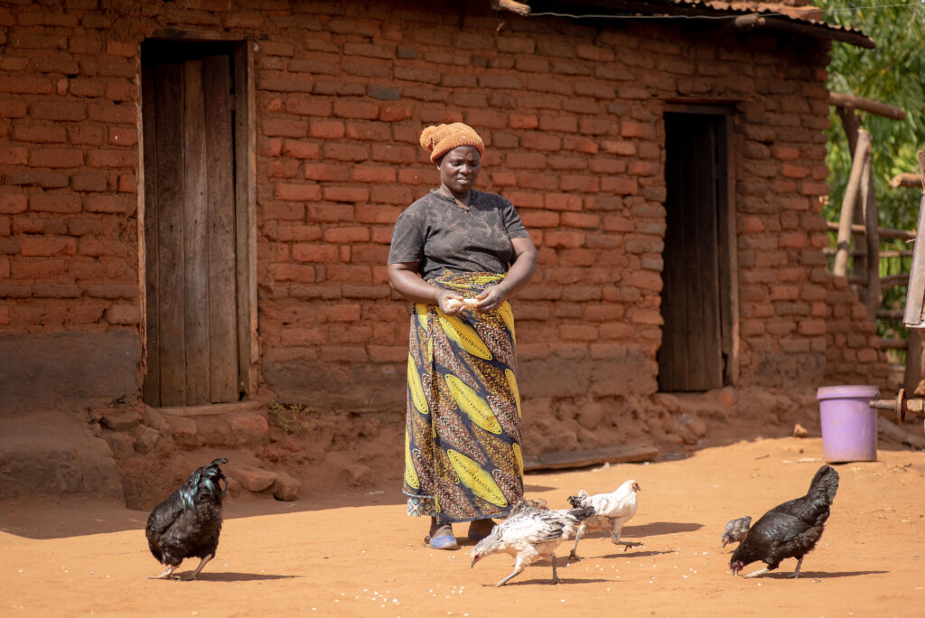 Build the 1st self-sustaining Farmer Field School!