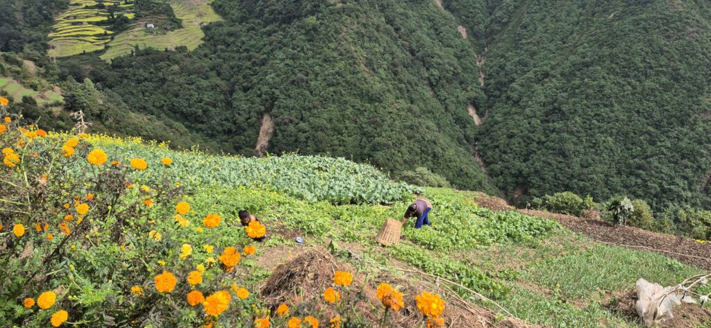 A 'parenthood' training for 21 villages in Nepal.
