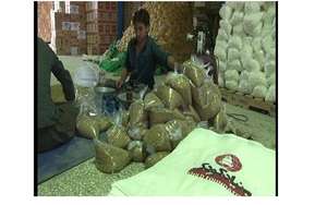 Bags of Lentils