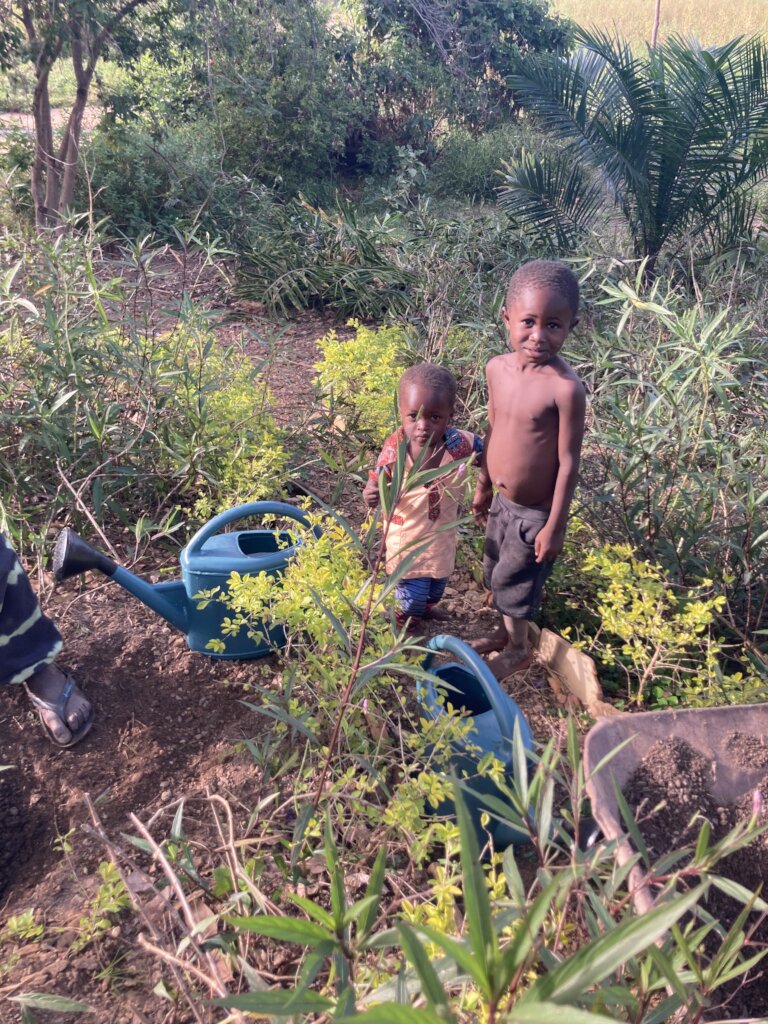 Transforming Lives Through Training