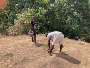 Tree planting along waterways