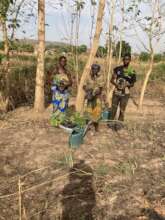 Local villagers planting trees
