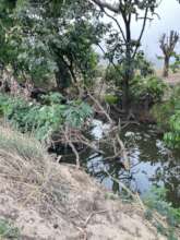 Education to prevent cutting trees along waterways
