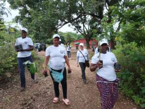 Vounteers gather to plant trees