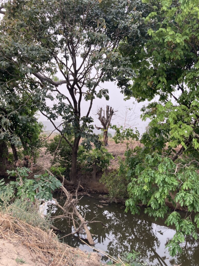 Protect Waterways/Protect Life