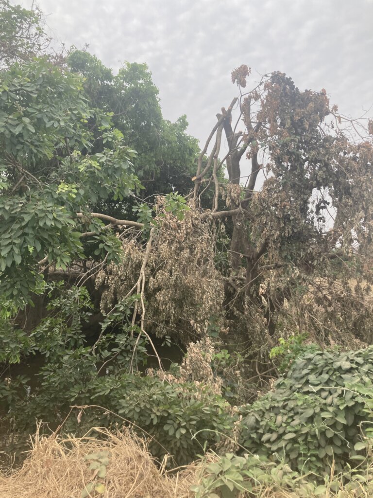 Protect Waterways/Protect Life