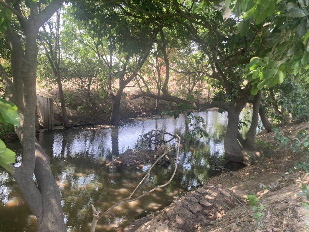 Protect Waterways/Protect Life