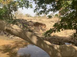 Collecting sand by the river