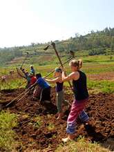 Planting crops for the income generation program