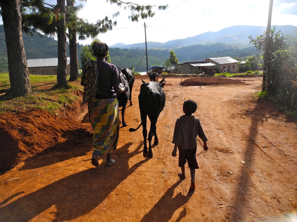 A beneficiary of MHEP with her son and cattle