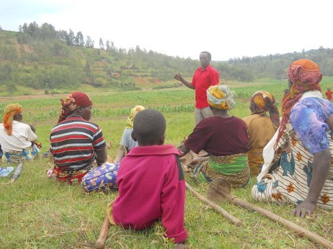 Enable 50 Rwandan Mothers to Farm for Profit