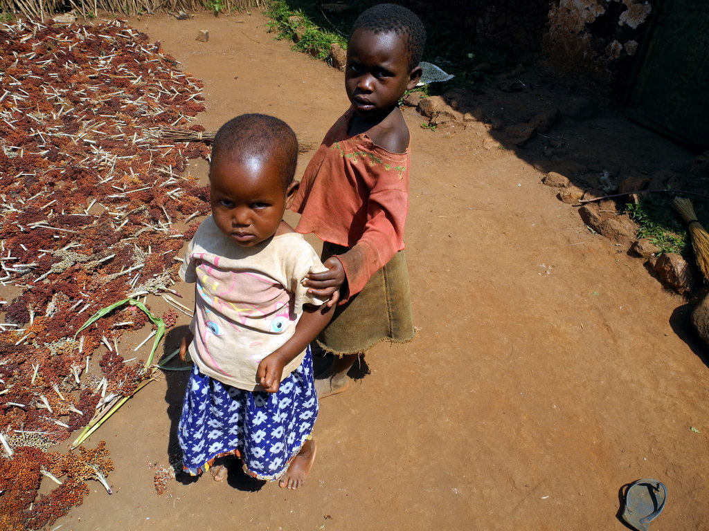 Enable 50 Rwandan Mothers to Farm for Profit