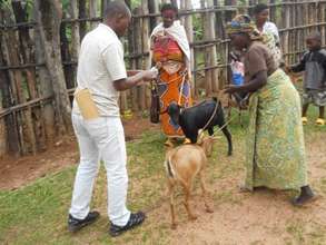 Goat giving ceremony