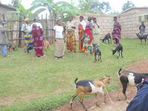After the goat giving ceremony