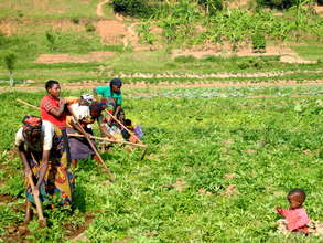 Farming and Families